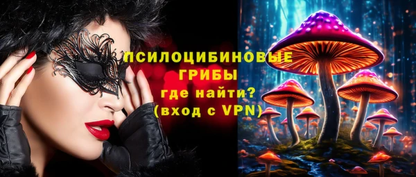 твердый Балахна