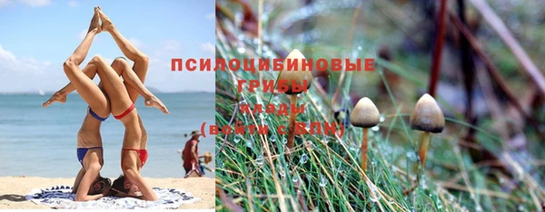 ГАЛЛЮЦИНОГЕННЫЕ ГРИБЫ Балабаново